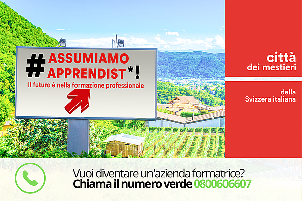 assumiamo apprendisti